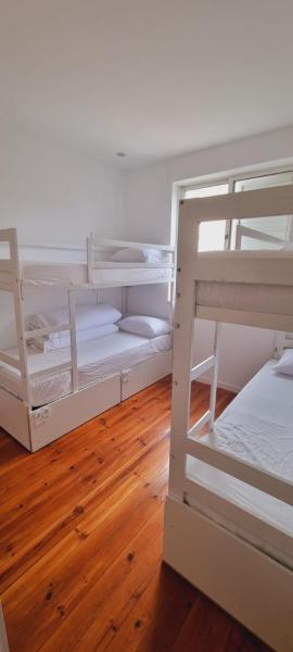 Owls Hostel Ribeiro